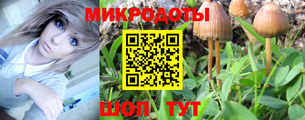 Каменск-Уральский  Галлюциногенные грибы ЛСД  купить наркоту  Галлюциногенные грибы мухоморы  Вход с VPN 